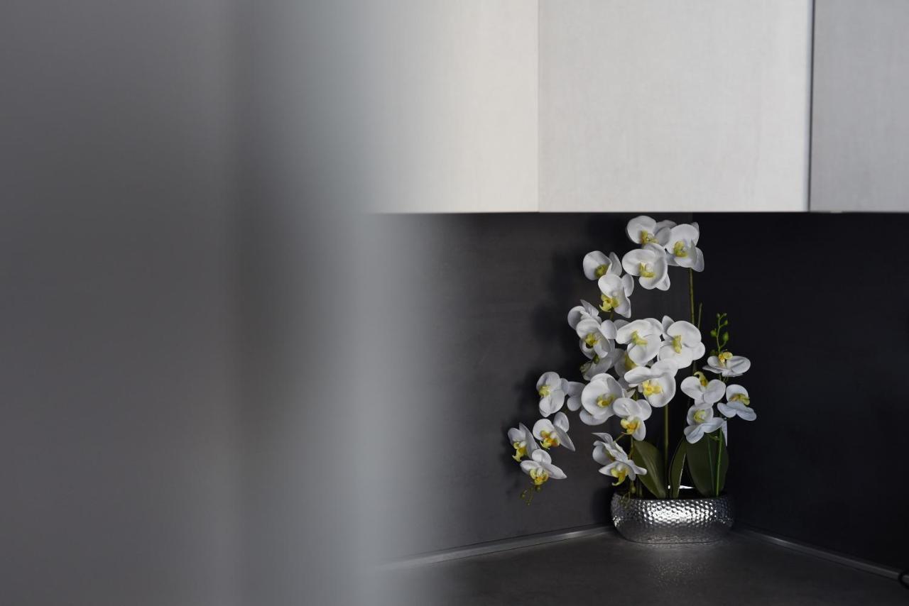 Apartman Niko Zadar Dış mekan fotoğraf